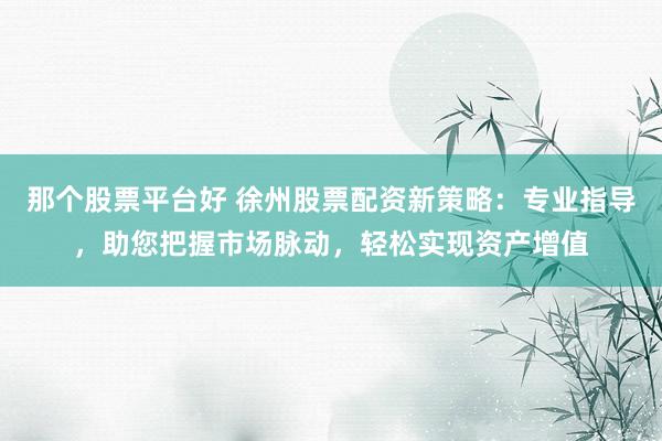 那个股票平台好 徐州股票配资新策略：专业指导，助您把握市场脉动，轻松实现资产增值