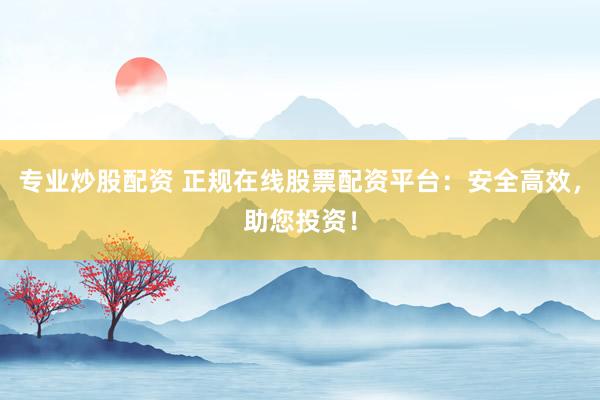 专业炒股配资 正规在线股票配资平台：安全高效，助您投资！