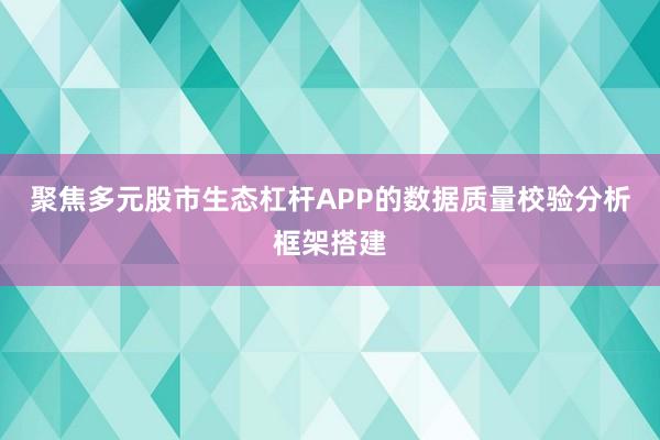 聚焦多元股市生态杠杆APP的数据质量校验分析框架搭建