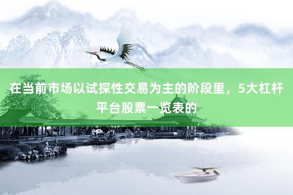 在当前市场以试探性交易为主的阶段里，5大杠杆平台股票一览表的