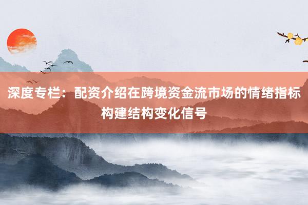 深度专栏：配资介绍在跨境资金流市场的情绪指标构建结构变化信号