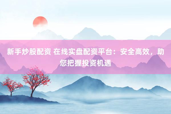 新手炒股配资 在线实盘配资平台：安全高效，助您把握投资机遇