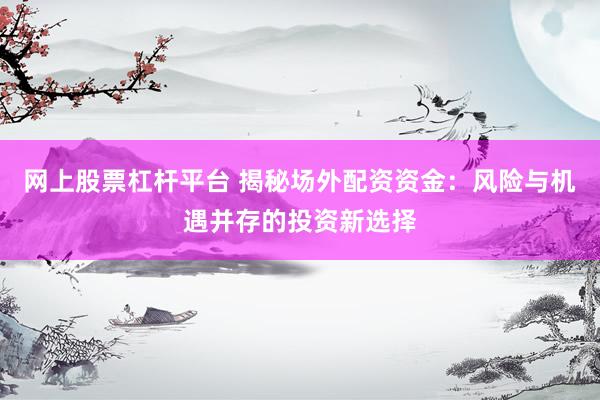 网上股票杠杆平台 揭秘场外配资资金：风险与机遇并存的投资新选择